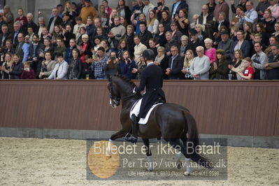 bent hus 2018
Billeder fra åbent hus
Nøgleord: blue hors don olymbrio;daniel bachmann andersen