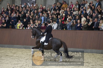 bent hus 2018
Billeder fra åbent hus
Nøgleord: blue hors don olymbrio;daniel bachmann andersen