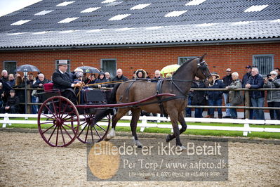 benthus 2018
Billeder fra åbenthus 2018
Nøgleord: Katrinelund;henrik jensen;marie krabbe;ea krabbe