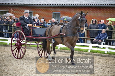 benthus 2018
Billeder fra åbenthus 2018
Nøgleord: Katrinelund;henrik jensen;marie krabbe;ea krabbe