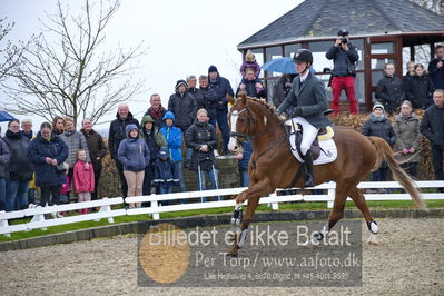 benthus 2018
Billeder fra åbenthus 2018
Nøgleord: jonathan hvalsøe saul;godsend de reverdy