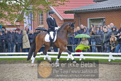 benthus 2018
Billeder fra åbenthus 2018
Nøgleord: Katrinelund;hesselhøj donkey boy;jan møller Christensen