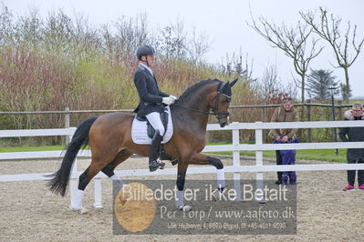 benthus 2018
Billeder fra åbenthus 2018
Nøgleord: Katrinelund;hesselhøj donkey boy;jan møller Christensen