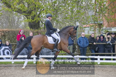 benthus 2018
Billeder fra åbenthus 2018
Nøgleord: Katrinelund;hesselhøj donkey boy;jan møller Christensen