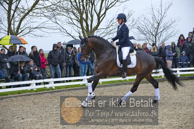 benthus 2018
Billeder fra åbenthus 2018
Nøgleord: Katrinelund;ferrari;cabrina geip