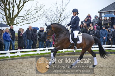 benthus 2018
Billeder fra åbenthus 2018
Nøgleord: Katrinelund;ferrari;cabrina geip