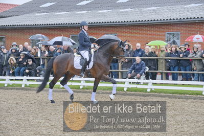 benthus 2018
Billeder fra åbenthus 2018
Nøgleord: Katrinelund;ferrari;cabrina geip