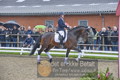 benthus 2018
Billeder fra åbenthus 2018
Nøgleord: Katrinelund;ferrari;cabrina geip