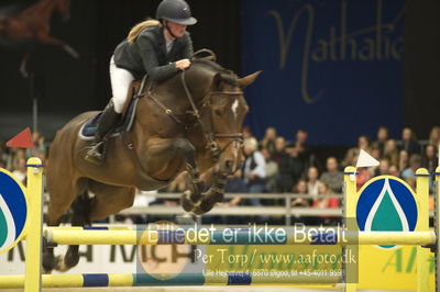 Worldcup Herning 2018
small tour speed final 130cm
Nøgleord: kamilla ladefoged rasmussen;double profit