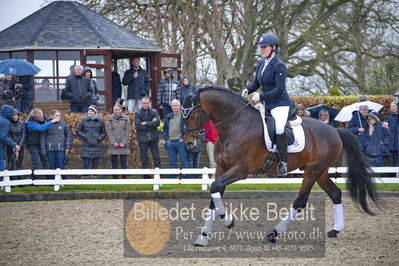 benthus 2018
Billeder fra åbenthus 2018
Nøgleord: Katrinelund;ferrari;cabrina geip