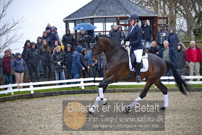 benthus 2018
Billeder fra åbenthus 2018
Nøgleord: Katrinelund;ferrari;cabrina geip