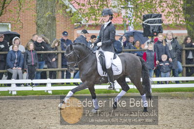 benthus 2018
Billeder fra åbenthus 2018
Nøgleord: Katrinelund;fredbos garmin;nikoline dresler