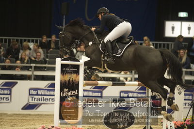 Worldcup Herning 2018
small tour speed final 130cm
Nøgleord: emilie holm;rebell 549