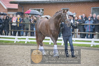 benthus 2018
Billeder fra åbenthus 2018
Nøgleord: Katrinelund;floriscount;ib kirk