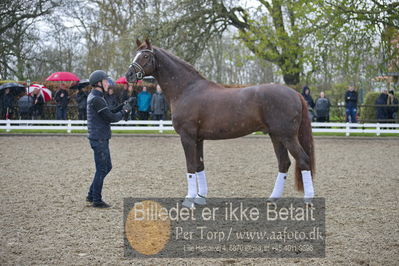 benthus 2018
Billeder fra åbenthus 2018
Nøgleord: Katrinelund;floriscount;ib kirk