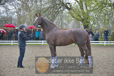 benthus 2018
Billeder fra åbenthus 2018
Nøgleord: Katrinelund;floriscount;ib kirk