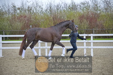 benthus 2018
Billeder fra åbenthus 2018
Nøgleord: Katrinelund;floriscount;ib kirk