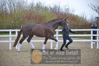 benthus 2018
Billeder fra åbenthus 2018
Nøgleord: Katrinelund;floriscount;ib kirk