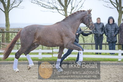 benthus 2018
Billeder fra åbenthus 2018
Nøgleord: Katrinelund;floriscount;ib kirk