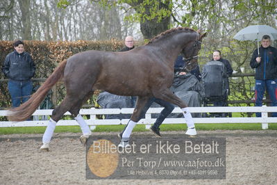 benthus 2018
Billeder fra åbenthus 2018
Nøgleord: Katrinelund;floriscount;ib kirk