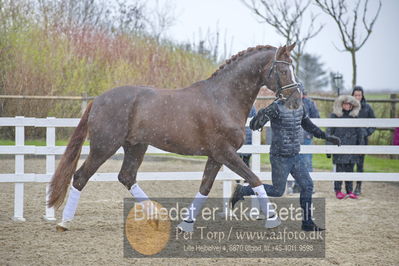 benthus 2018
Billeder fra åbenthus 2018
Nøgleord: Katrinelund;floriscount;ib kirk