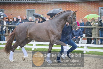 benthus 2018
Billeder fra åbenthus 2018
Nøgleord: Katrinelund;floriscount;ib kirk