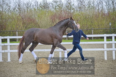 benthus 2018
Billeder fra åbenthus 2018
Nøgleord: Katrinelund;floriscount;ib kirk