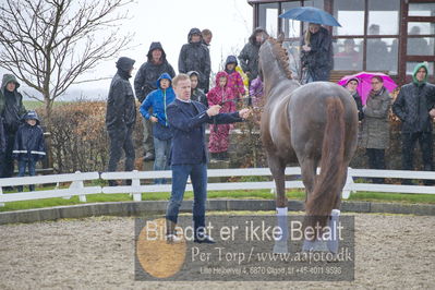 benthus 2018
Billeder fra åbenthus 2018
Nøgleord: Katrinelund;floriscount;ib kirk