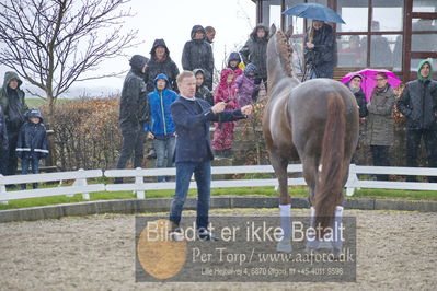 benthus 2018
Billeder fra åbenthus 2018
Nøgleord: Katrinelund;floriscount;ib kirk
