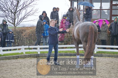benthus 2018
Billeder fra åbenthus 2018
Nøgleord: Katrinelund;floriscount;ib kirk