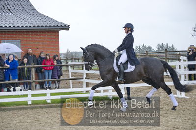 benthus 2018
Billeder fra åbenthus 2018
Nøgleord: Katrinelund;freestyle;cabrina geip