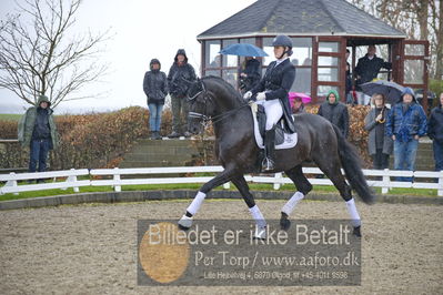 benthus 2018
Billeder fra åbenthus 2018
Nøgleord: Katrinelund;freestyle;cabrina geip