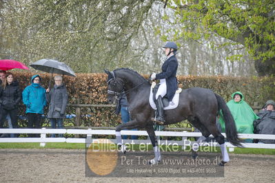 benthus 2018
Billeder fra åbenthus 2018
Nøgleord: Katrinelund;freestyle;cabrina geip