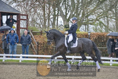 benthus 2018
Billeder fra åbenthus 2018
Nøgleord: Katrinelund;freestyle;cabrina geip