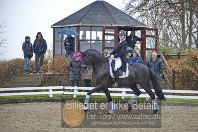 benthus 2018
Billeder fra åbenthus 2018
Nøgleord: Katrinelund;freestyle;cabrina geip