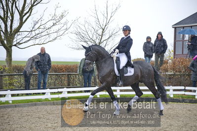 benthus 2018
Billeder fra åbenthus 2018
Nøgleord: Katrinelund;freestyle;cabrina geip