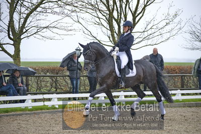 benthus 2018
Billeder fra åbenthus 2018
Nøgleord: Katrinelund;freestyle;cabrina geip