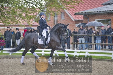 benthus 2018
Billeder fra åbenthus 2018
Nøgleord: Katrinelund;freestyle;cabrina geip