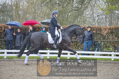 benthus 2018
Billeder fra åbenthus 2018
Nøgleord: Katrinelund;freestyle;cabrina geip