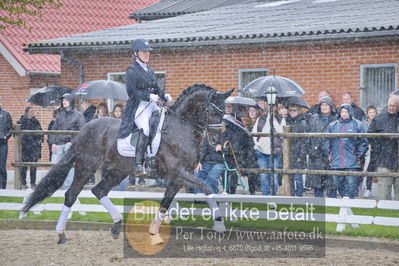 benthus 2018
Billeder fra åbenthus 2018
Nøgleord: Katrinelund;freestyle;cabrina geip