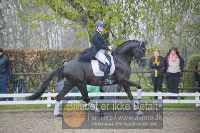 benthus 2018
Billeder fra åbenthus 2018
Nøgleord: Katrinelund;freestyle;cabrina geip