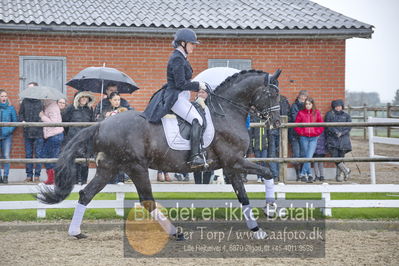 benthus 2018
Billeder fra åbenthus 2018
Nøgleord: Katrinelund;freestyle;cabrina geip