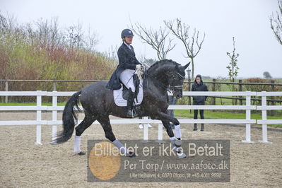 benthus 2018
Billeder fra åbenthus 2018
Nøgleord: Katrinelund;freestyle;cabrina geip