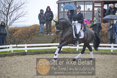 benthus 2018
Billeder fra åbenthus 2018
Nøgleord: Katrinelund;freestyle;cabrina geip