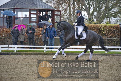 benthus 2018
Billeder fra åbenthus 2018
Nøgleord: Katrinelund;freestyle;cabrina geip