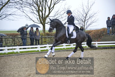 benthus 2018
Billeder fra åbenthus 2018
Nøgleord: Katrinelund;freestyle;cabrina geip