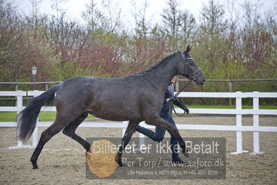 benthus 2018
Billeder fra åbenthus 2018
Nøgleord: Katrinelund;staudt;frestyle;3årshoppe