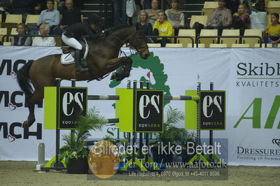 Showjumping
stutteri ask grandprix 150cm
Nøgleord: claudia verburgt;abbervail lightning