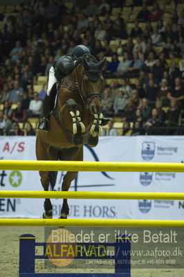 Showjumping
stutteri ask grandprix 150cm
Nøgleord: isabell bengtsson;let's go