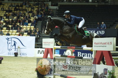 Showjumping
stutteri ask grandprix 150cm
Nøgleord: julie andrews;ayrton IV